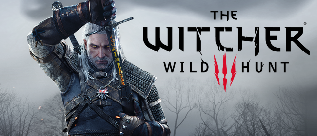 witcher 3 wild hunt builds